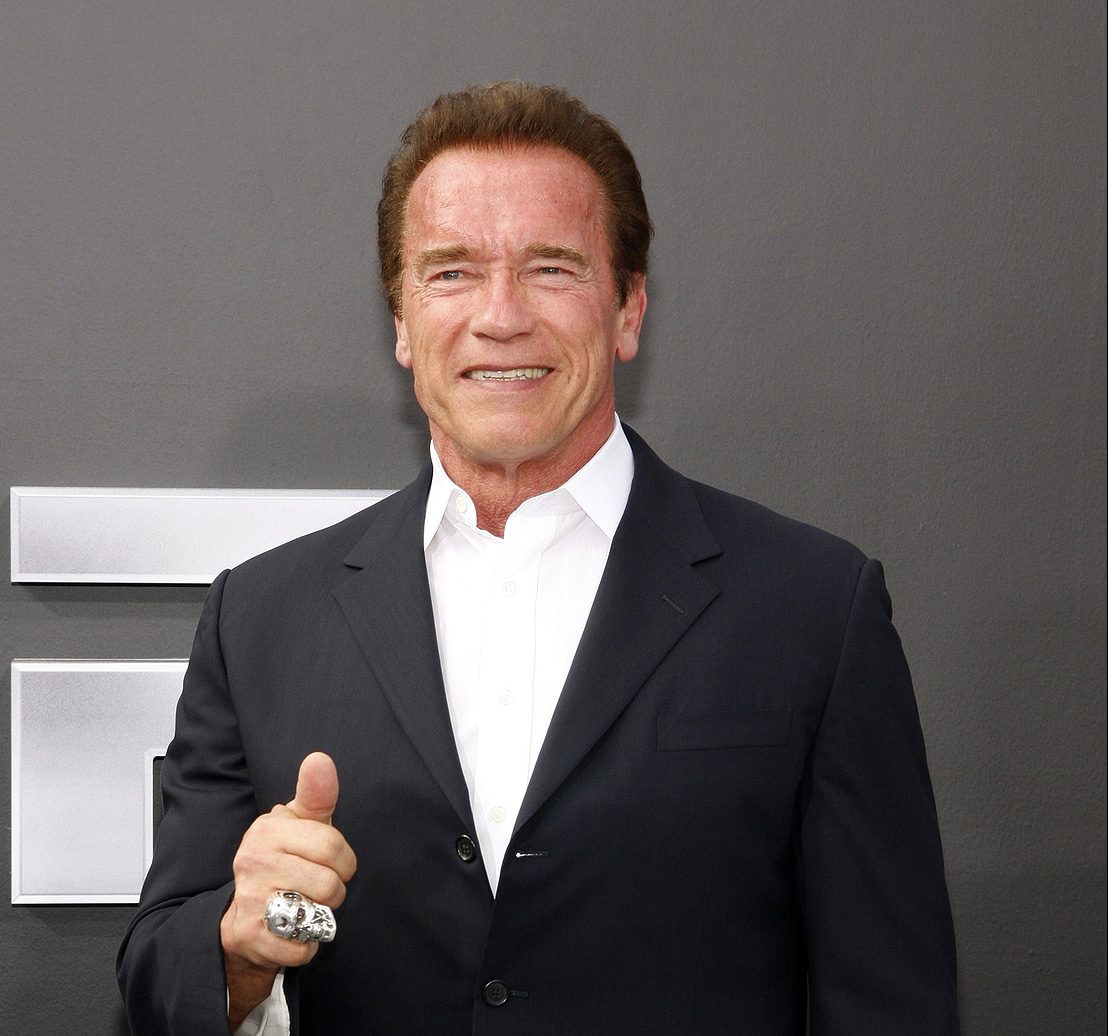 Arnold Schwarzenegger S 5 Rules For Success Crucial Constructs