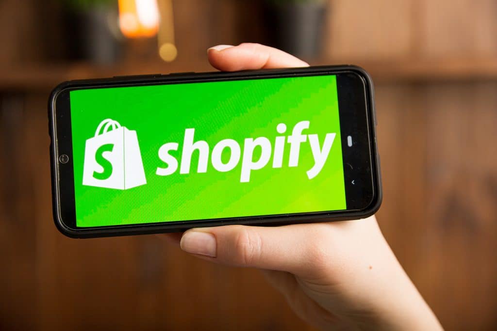 Profitable Shopify Store