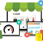 Some Successful Shopify Store Examples