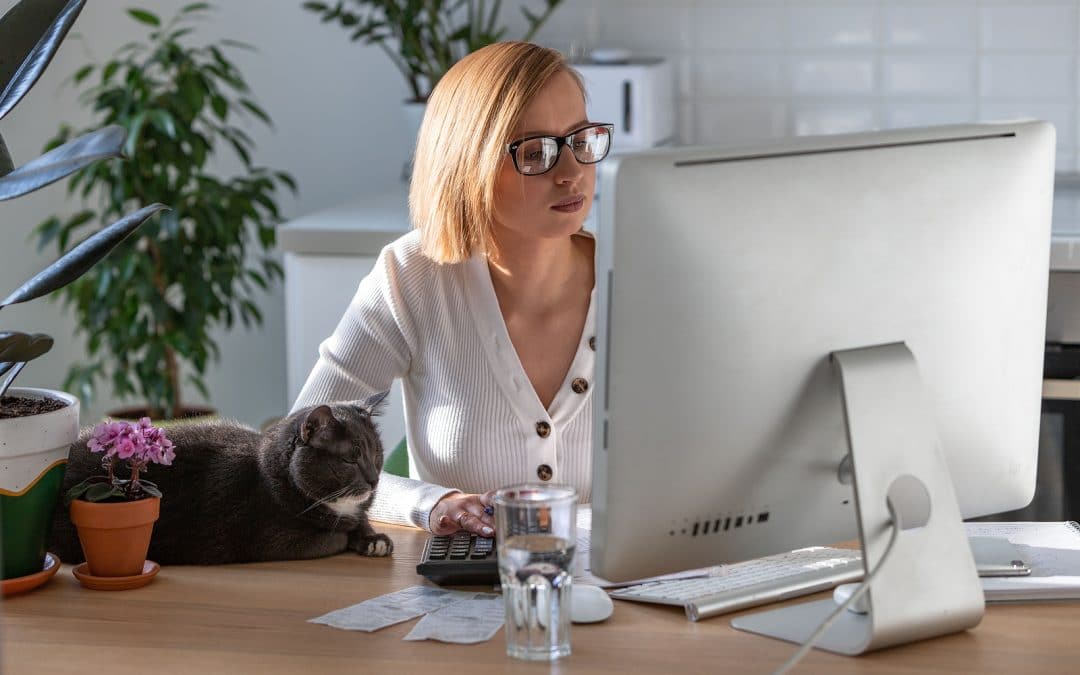 Small Business Marketing Guide: Everything You Should Know