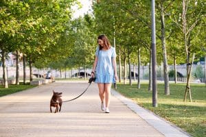 Young Beautiful Young Brunette Cheerful Girl In Blue Dress Walks