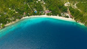 Aerial View Of Sandy Beach On A Tropical Island With Palm Trees.