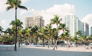 Digital Nomad in Miami