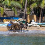 How to be a Digital Nomad in Arugam Bay, Sri Lanka
