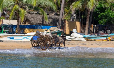 How to be a Digital Nomad in Arugam Bay, Sri Lanka