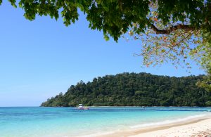 Koh Rok (Rok Island) is a small archipelago in southern Thailand in the Andaman Sea