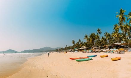 How to be a Digital Nomad in Goa, India