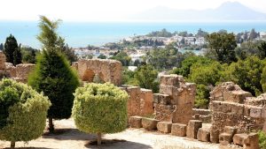 Ruins Of The Ancient Antique City Of Carthage