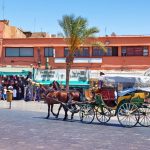 The Best Places for Digital Nomads in Africa