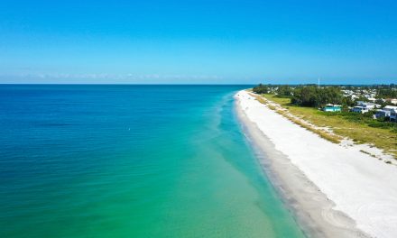 Best Beaches for Digital Nomads in Florida