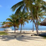 Best Beaches for Digital Nomads: Islamorada