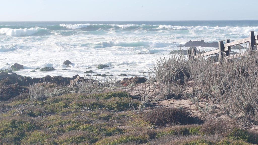 Big huge stormy waves crashing on rocky craggy beach, Monterey bay shore, California ocean coast, USA. 17-mile drive power of nature. Sea water splashing, landscape or seascape. Pebble beach cliffs.