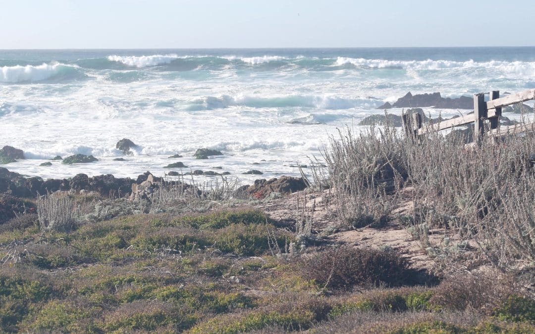 Best Beaches for Digital Nomads: Monterey