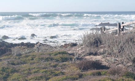 Best Beaches for Digital Nomads: Monterey