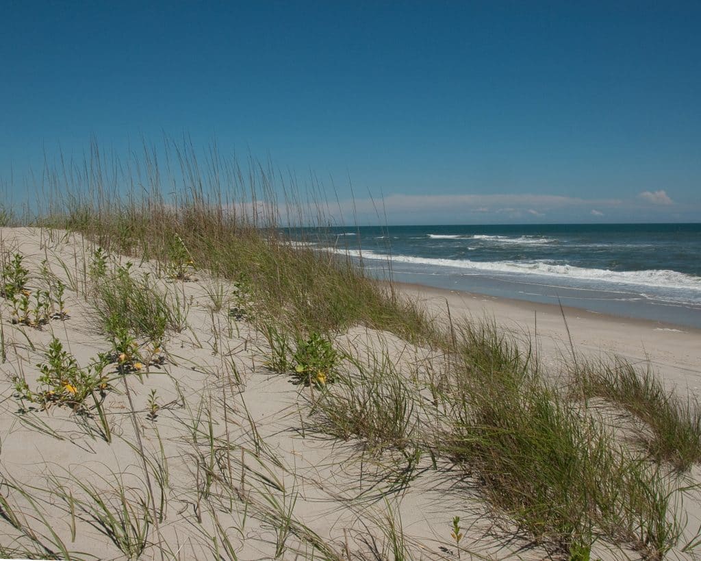 A sand dune on Ocracoke Island on a beautiful day