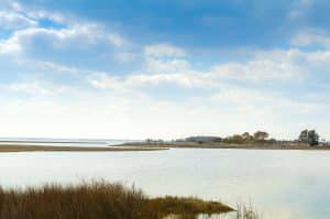 Assateague Island National Seashore