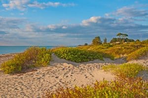 Caspersen Beach In Venice Florida
