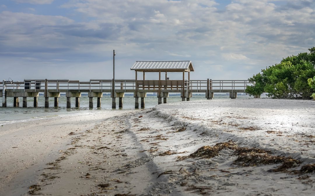 Best Beaches for Digital Nomads: Sanibel