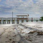 Best Beaches for Digital Nomads: Sanibel