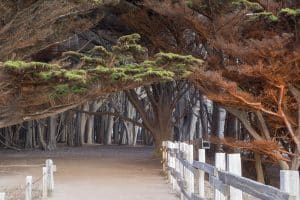 Fitzgerald Marine Reserve, San Mateo County, California