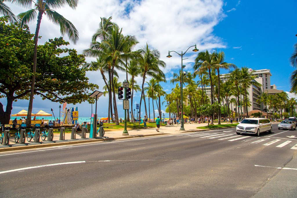 Honolulu, Hawaii with many plants, bike lane