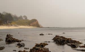Scenic Coastal Landscape In J V Fitzgerald Marine Reserve, Calif