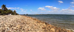 Sanibel Causeway Bridge In The Background Of Causeway Islands Pa