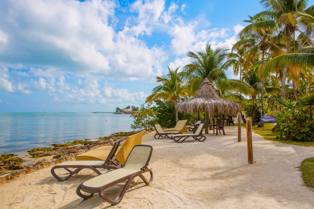 Tropical resort with chaise longs and hammocks near palms on sandy beach, Key West, Florida, USA