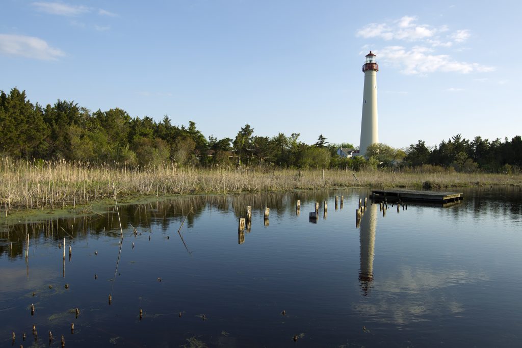 Cape may light house reflecting in the marsh water