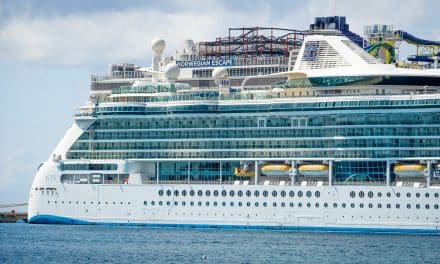 Best Cruises for Digital Nomads