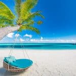 Best Digital Nomad Locations in The Caribbean