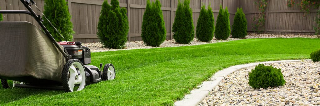 Photograph of lawn mower on green lawn