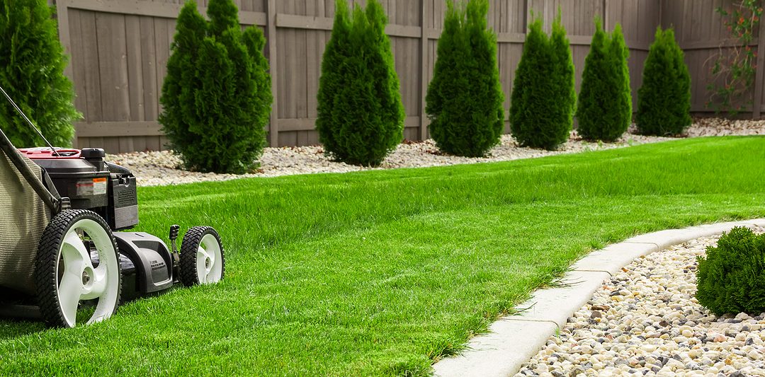 Getting Started in Lawn Care Services: Your Essential Guide