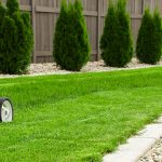 Getting Started in Lawn Care Services: Your Essential Guide