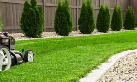 Getting Started in Lawn Care Services: Your Essential Guide